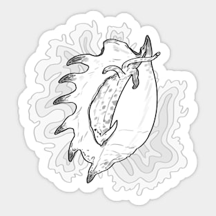 Spider Conch Sea Snail (Lambis lambis) Sticker